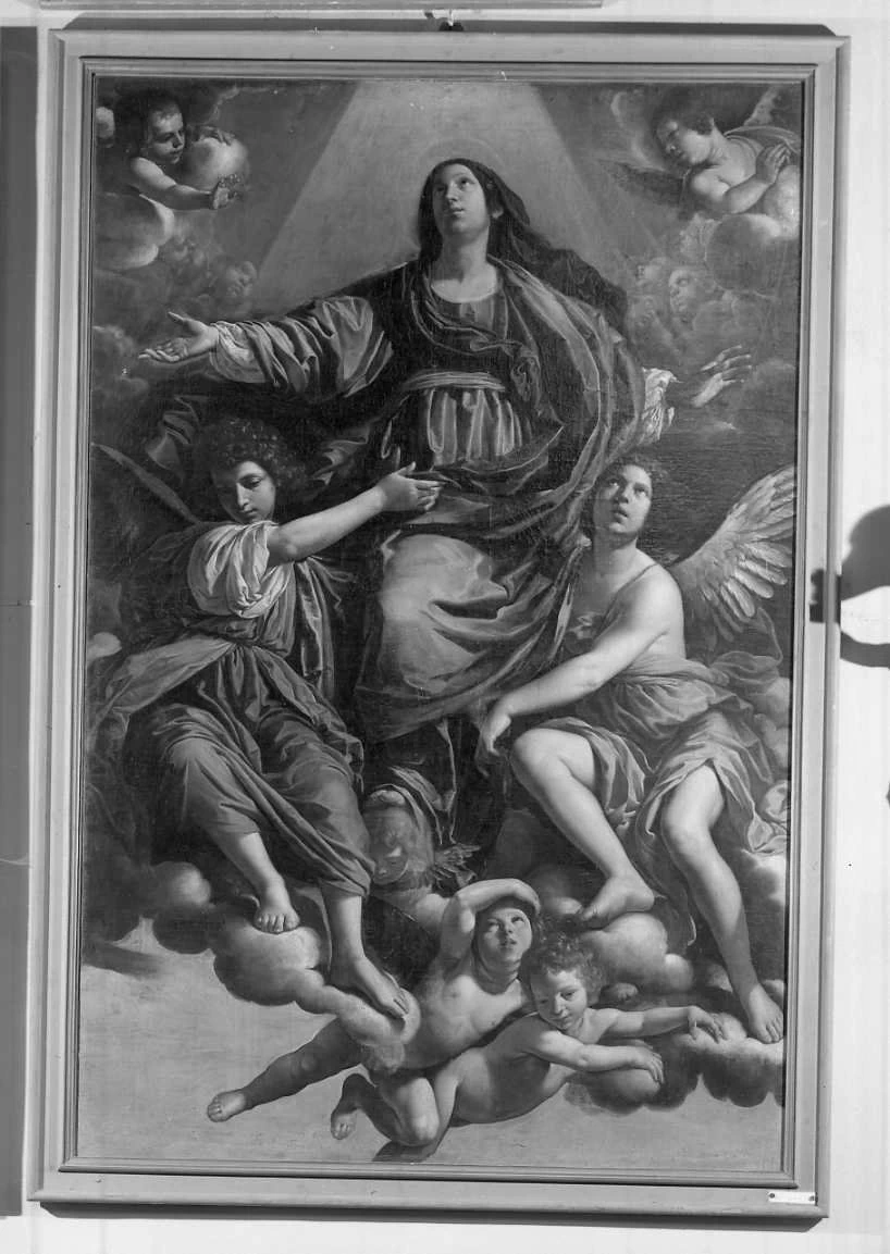 Madonna Assunta - Forlì